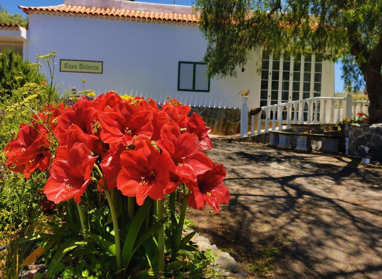 Casa de Férias Dolores En Adeje Costa Adeje (Tenerife)