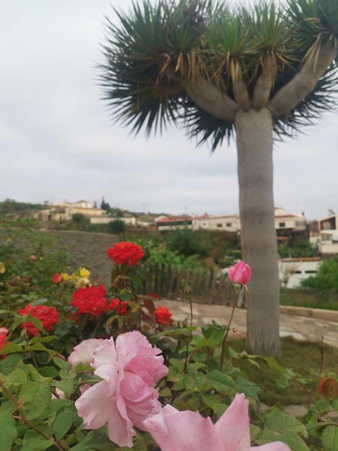 Dolores En Adeje Holiday home
