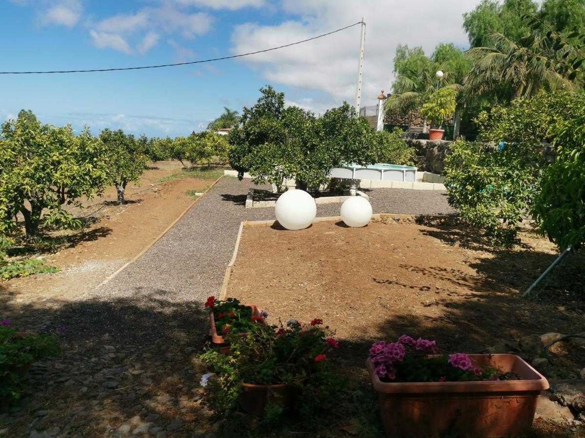 Holiday home Dolores En Adeje Costa Adeje (Tenerife)