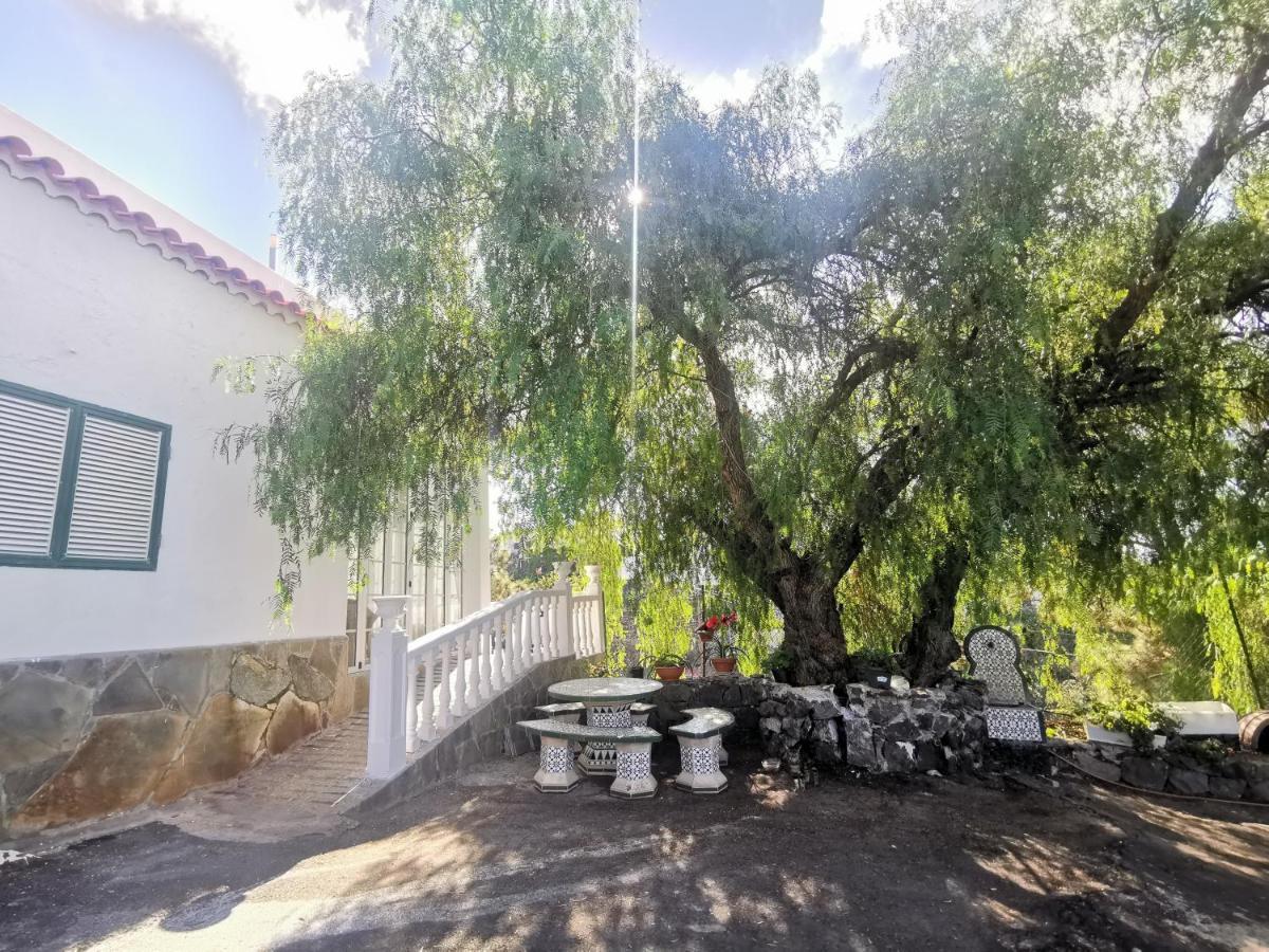 Holiday home Dolores En Adeje Costa Adeje (Tenerife)